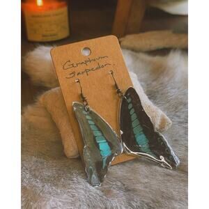 Graphium Sarpedon